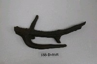 藏品(小鹿化石)的圖片